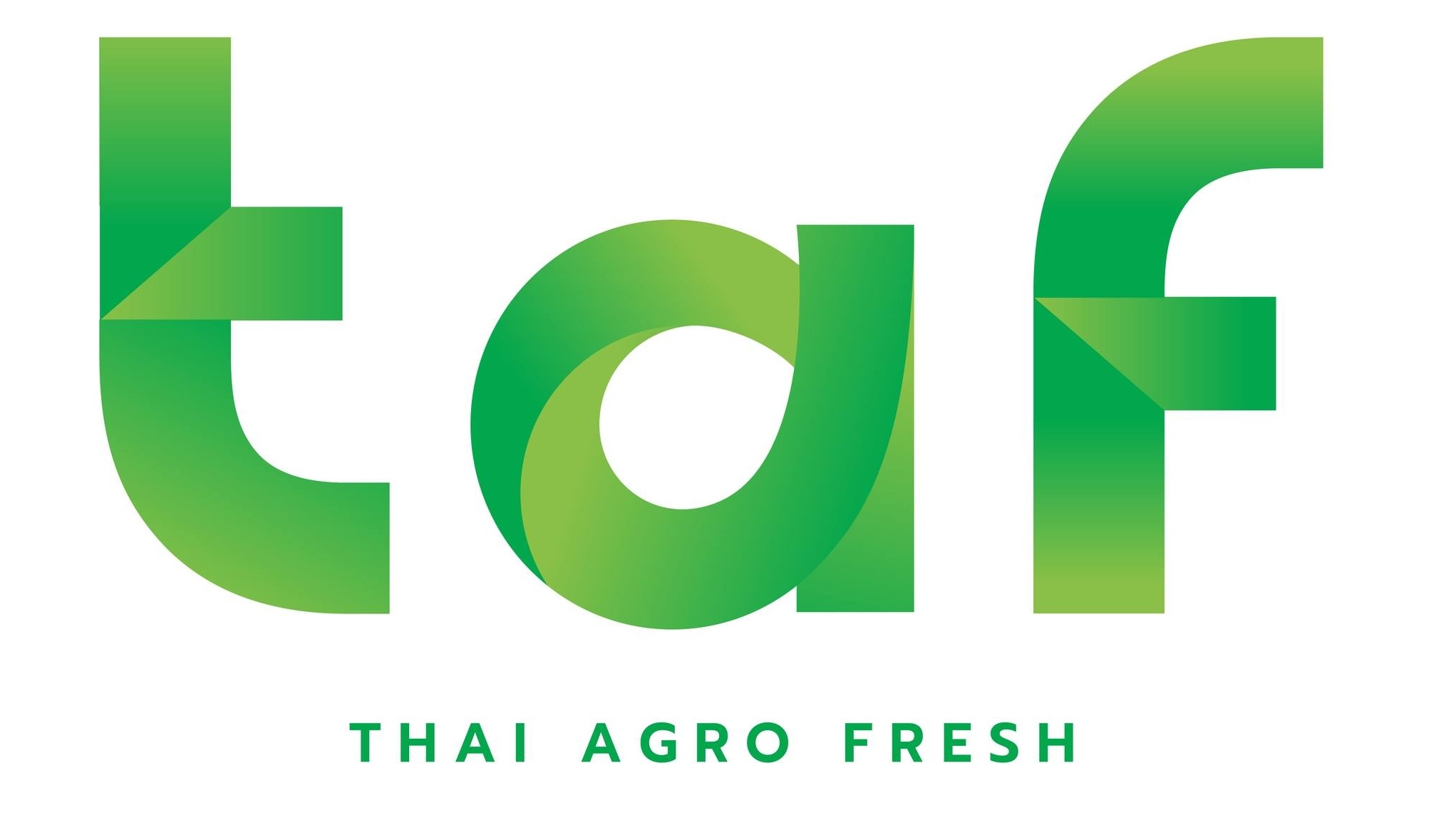 TAF Logo